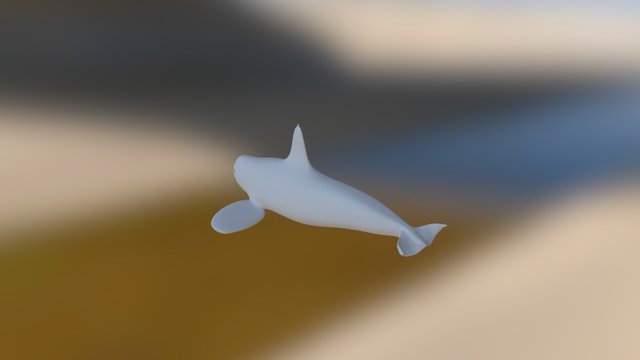 An Orca whale v1 3D Model