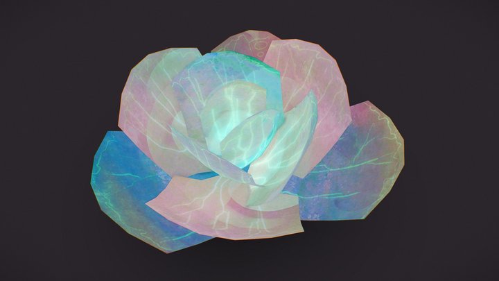 Sea Cabbage 3D Model