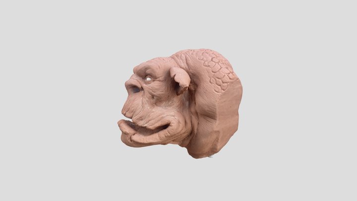 ORK 3D Model