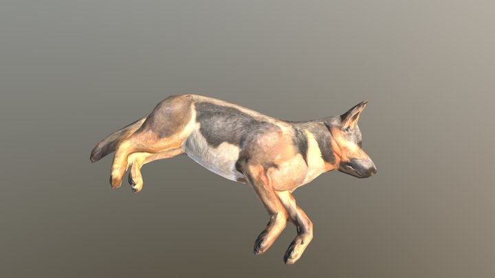 German Shepherd (Laying Down) – Modelo 3D gratuito STL