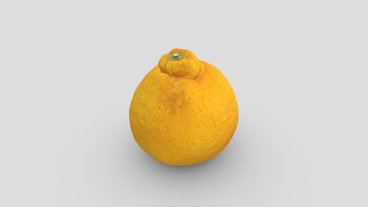 Dekopon 3D Model