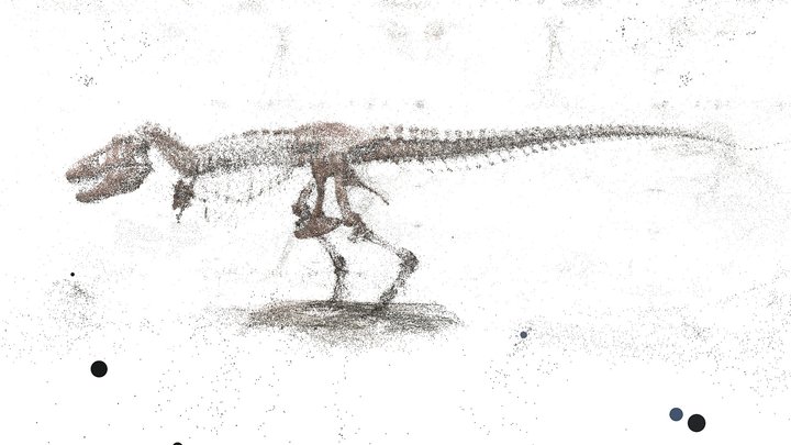 Tyrannosaurus Rex - AMNH [Point Cloud] – Modelo 3D gratuito STL