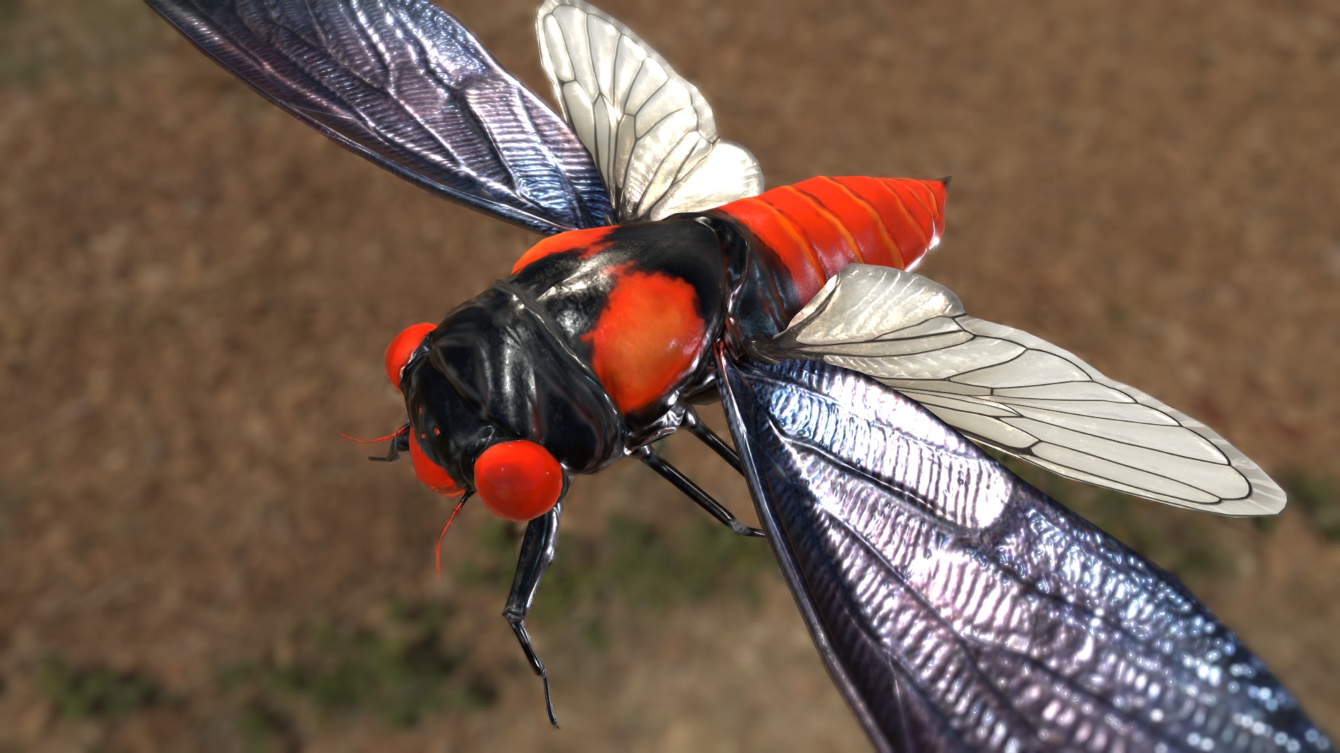 3D model Huechys sanguinea - This is a 3D model of the Huechys sanguinea. The 3D model is about a close up of a fly.