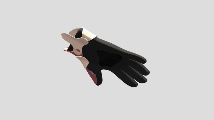 Alopex active falconry gloves 3D Model