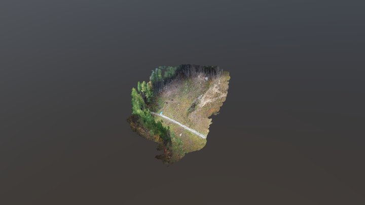 kanjin 3D Model