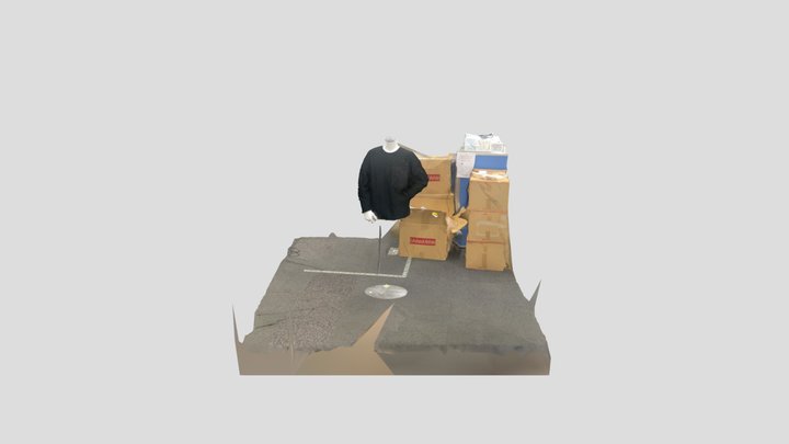 Scan 2023-05-01T07:37:20.378Z 3D Model