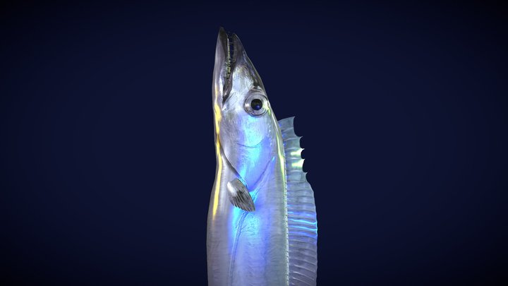 Cut lassfish(Tachiuo) 3D Model