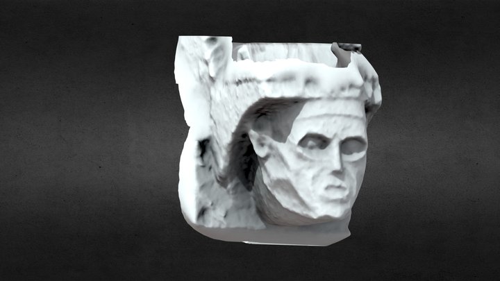 LE025-096001 COMMONS - Carved head 3 3D Model