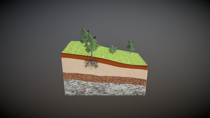 Struktur Tanah 3D Model