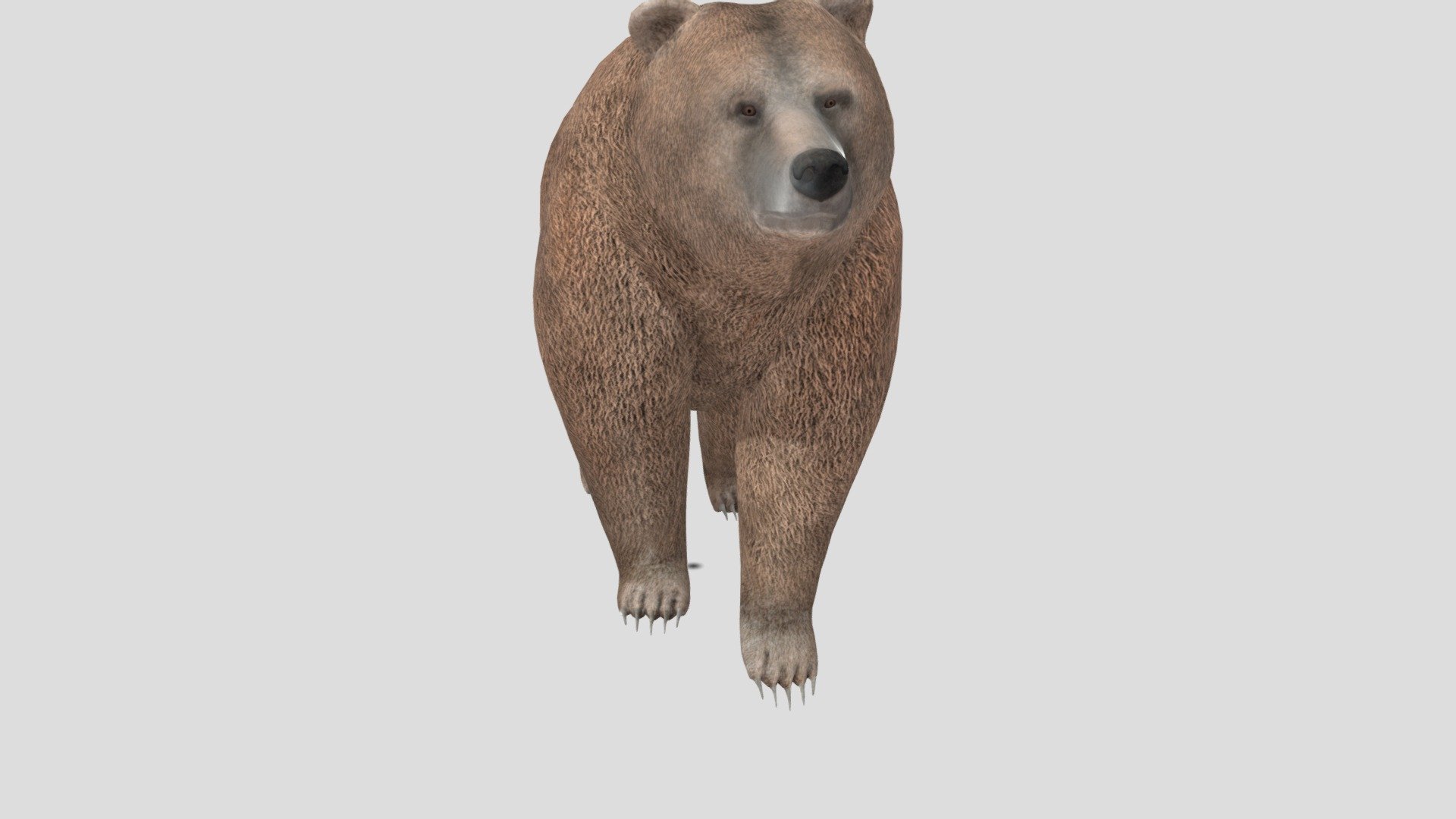 Lagoon - BEAR (Alpha) - Download Free 3D model by spiffatron