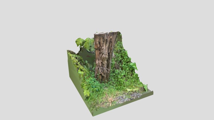 2024-04-24 15:48:41 3D Model