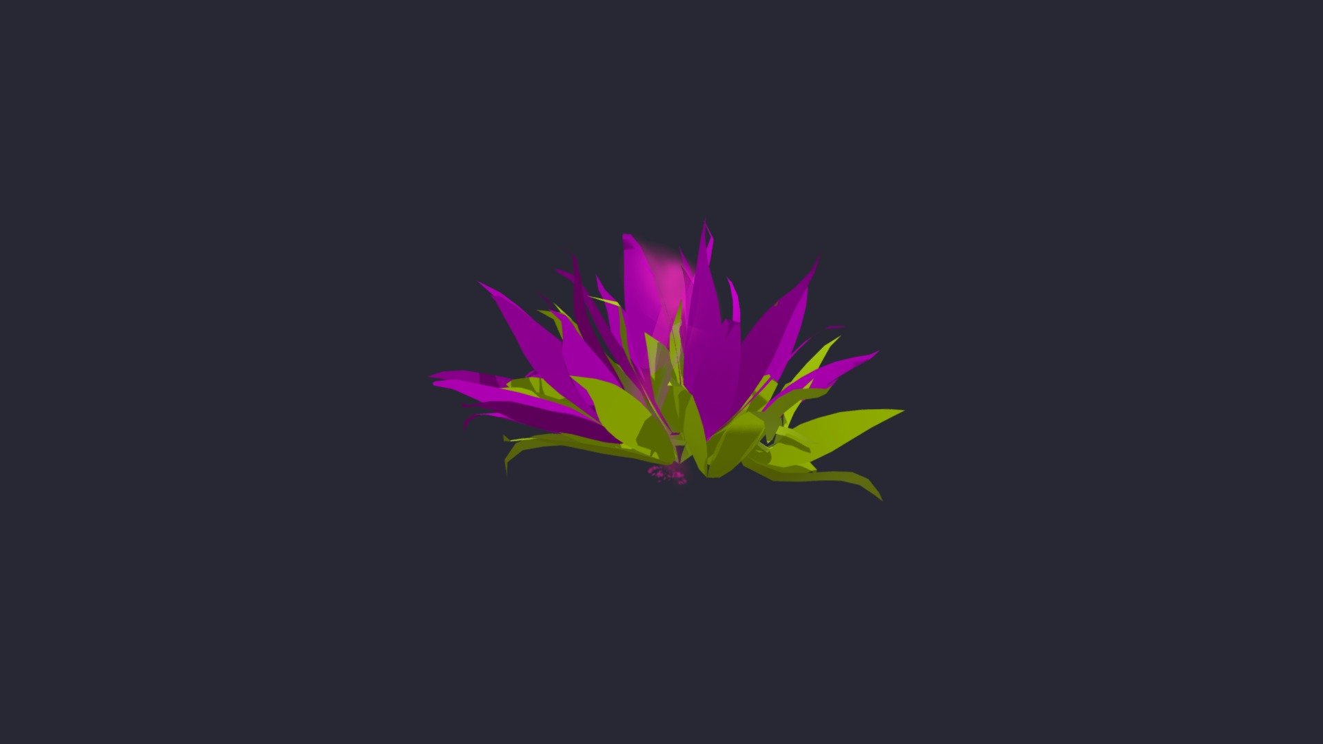 a bush