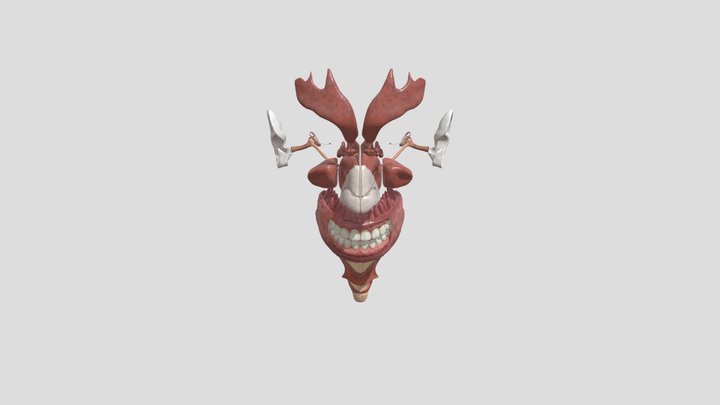 Otolaryngology 3D Model