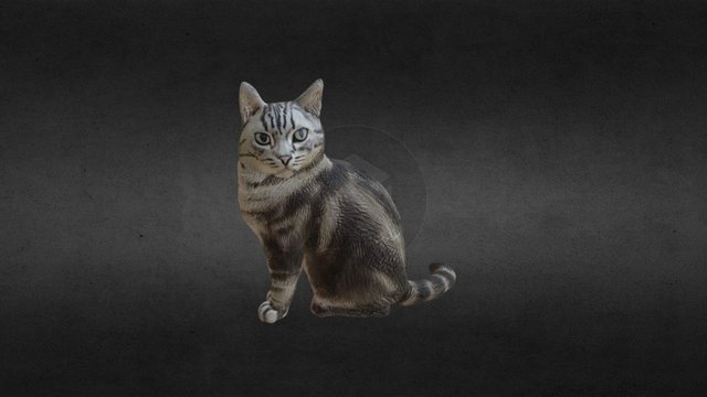 Cat C 3D Model