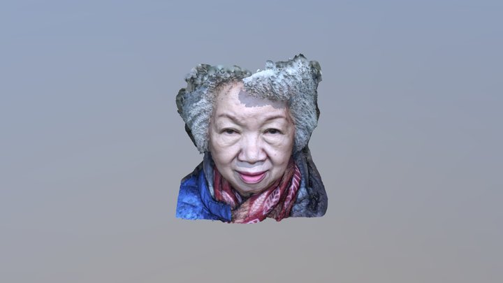 Cecilia Decimated 3D Model