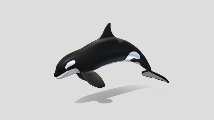 Orque / Orca 3D Model