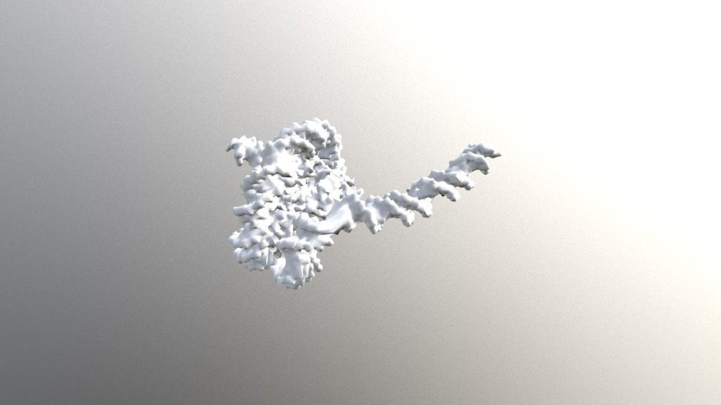 Histone DNA HD Loop Final
