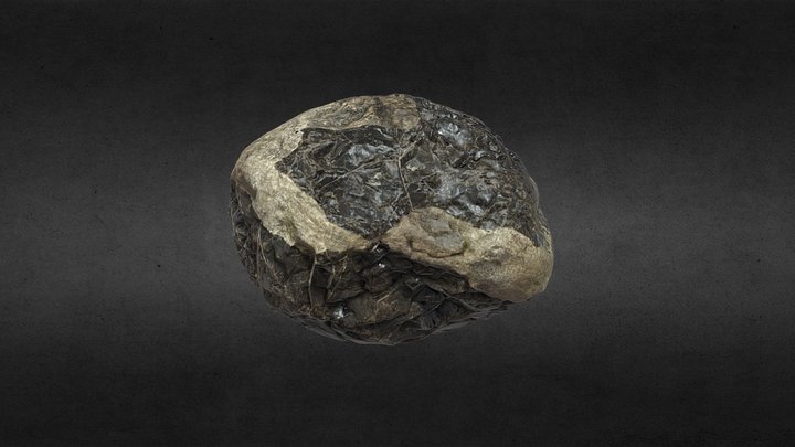 Mixed rock 3D Model