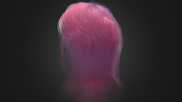 hair68 3D Model