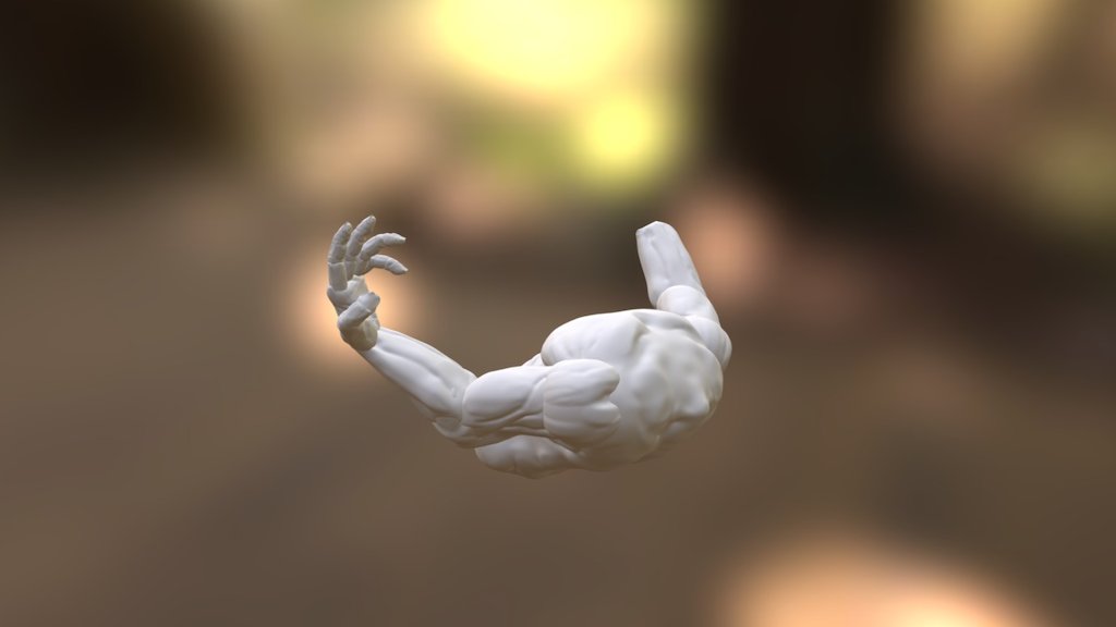 Partial Upper Body Male