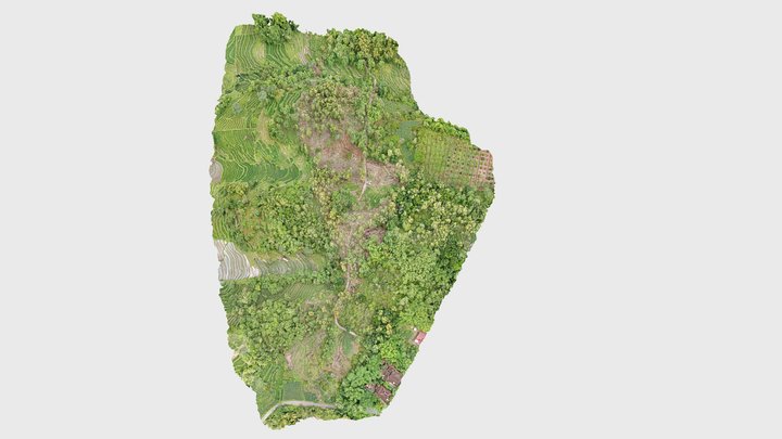 KEDUNGREJO 3D 3D Model