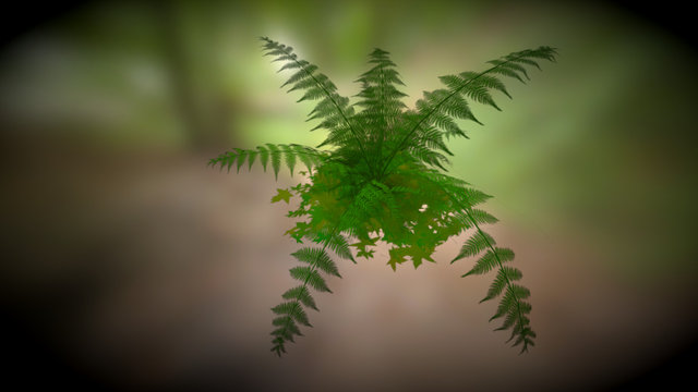 [SGP] Fern 3D Model