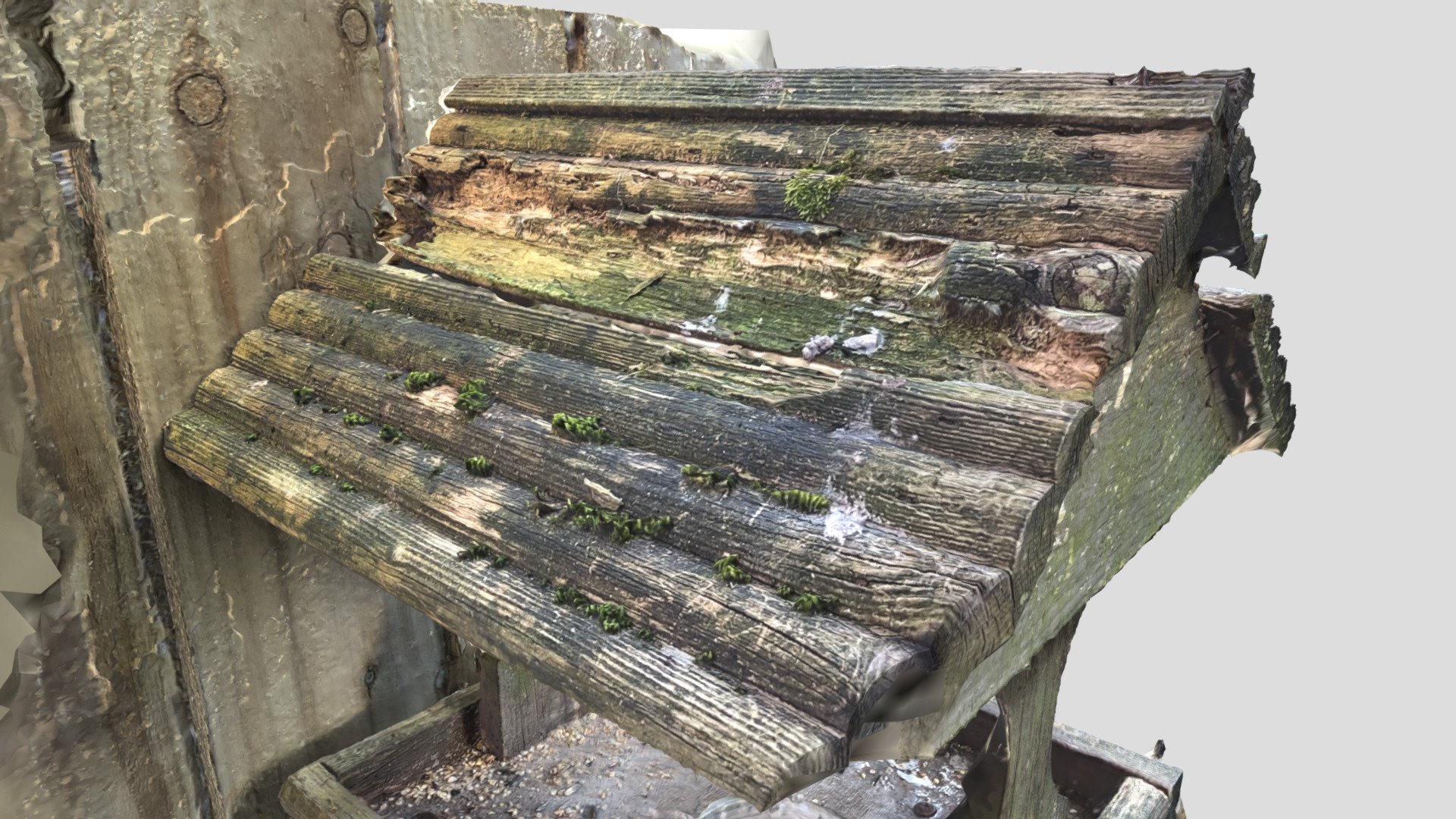 bird table