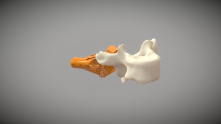 Guia de perfuração de Coluna 3D Model