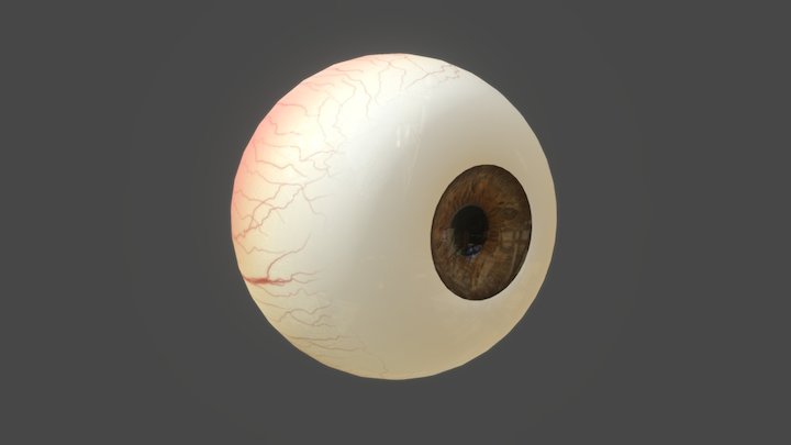 Eye 3D Model