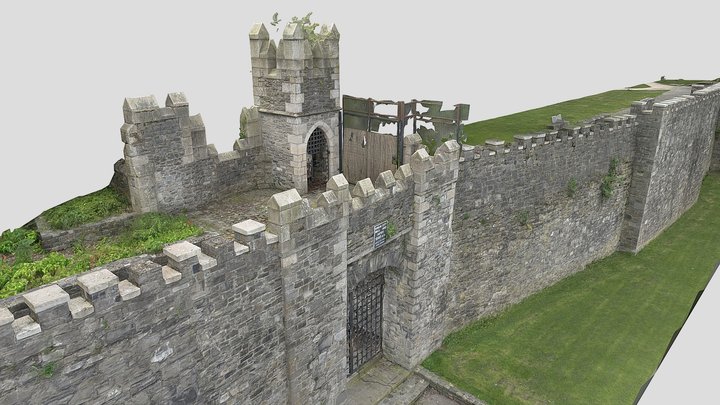 Dublin City Wall at St Audeon's Park 3D Model