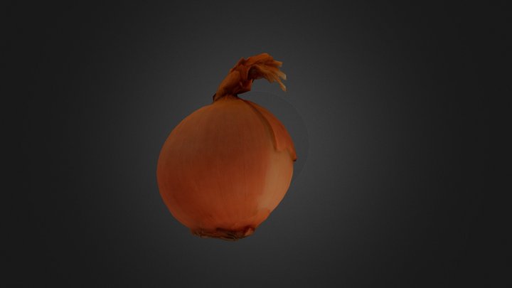Onion scan 3D Model