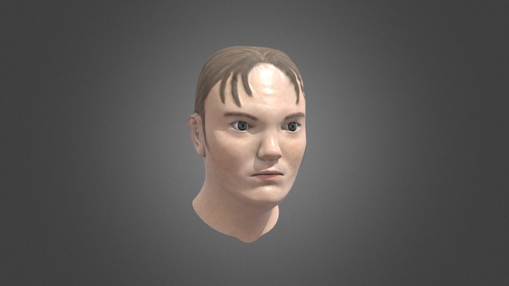 Dwight Bust 3D Model