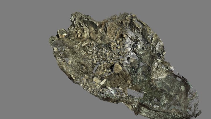 DO3C 3D Model