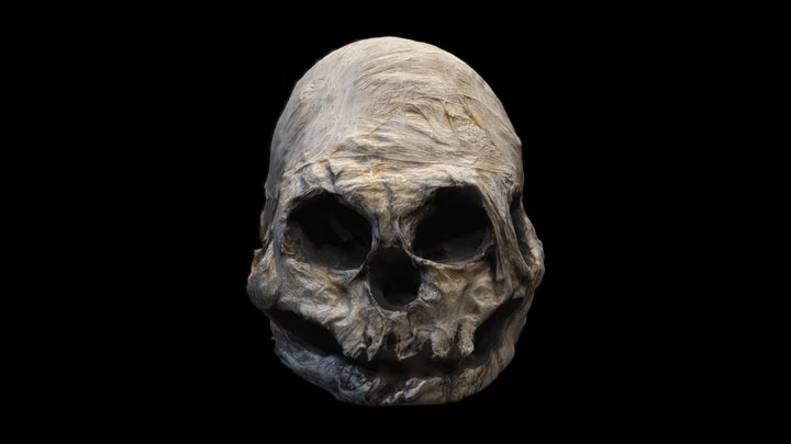 Skull sculpture one 3D Model