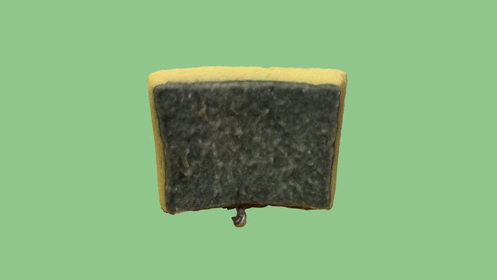 664230009 Photogrammetry Sponge 3D Model