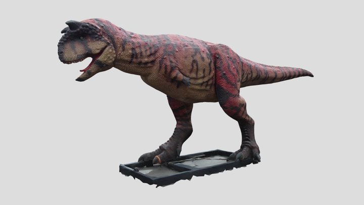 CarnoPolyScanPG Test 3D Model