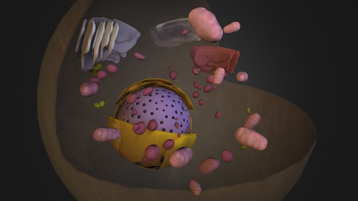 celula teste 1 3D Model