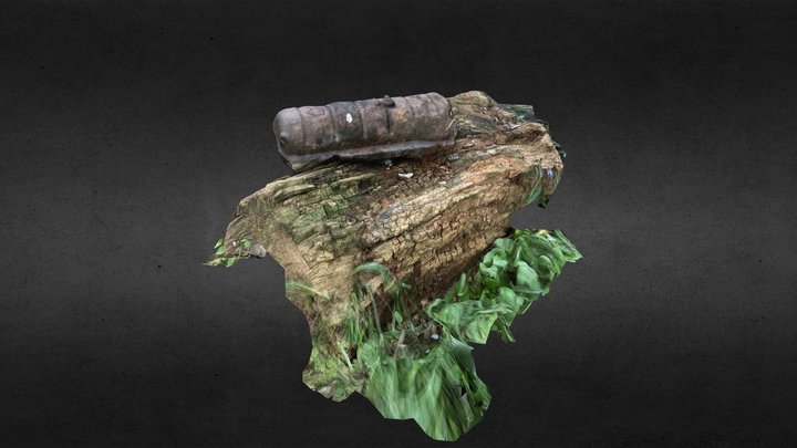 what am I? 3D Model
