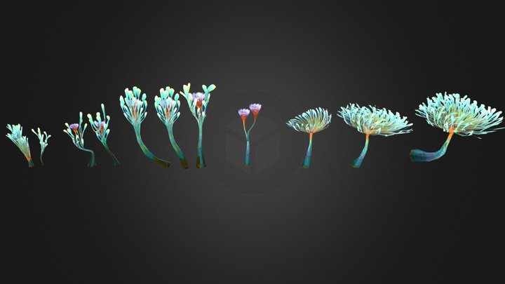 Paddle Ferns – Free 3D Model STL