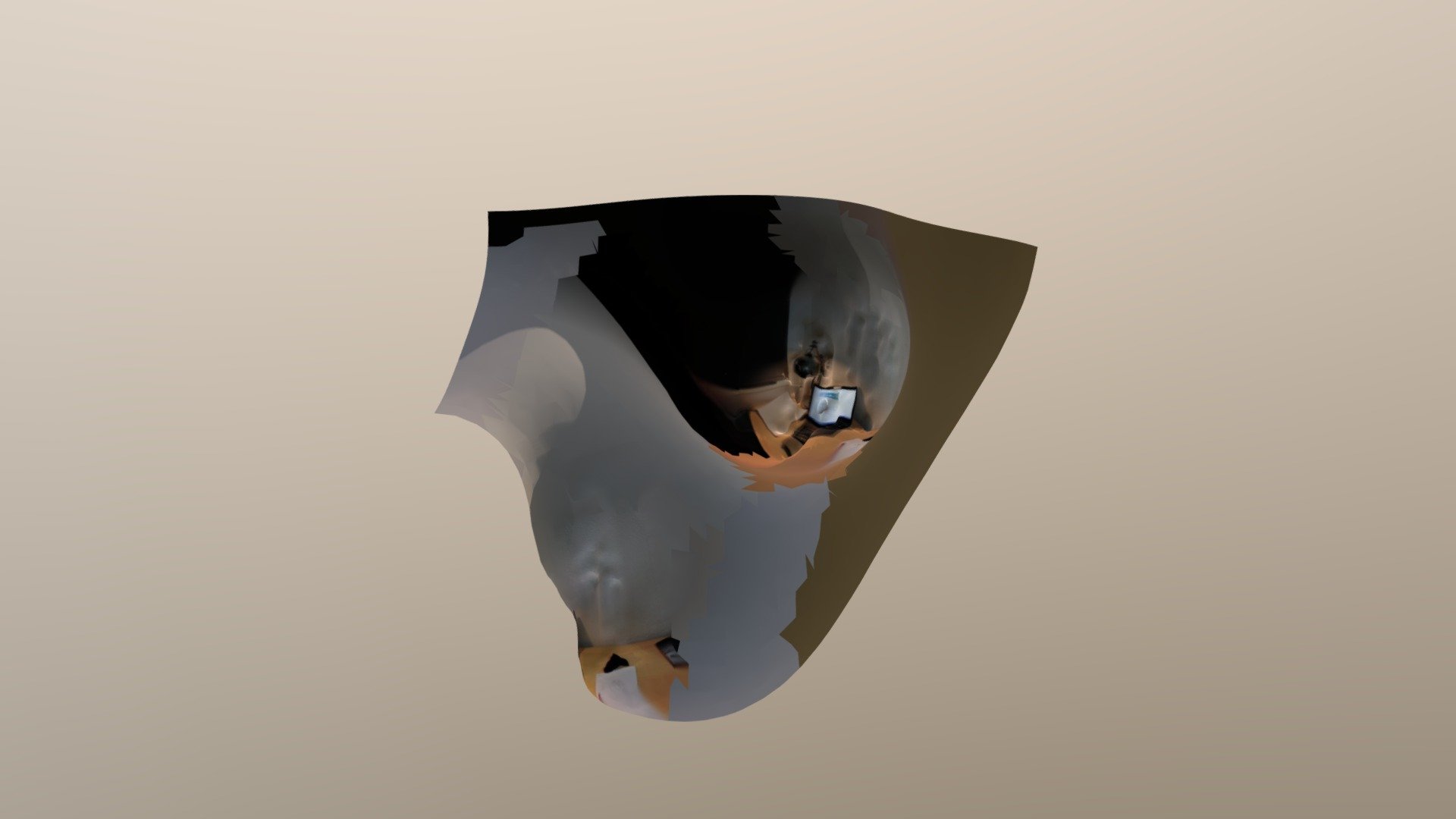 20190218_193636