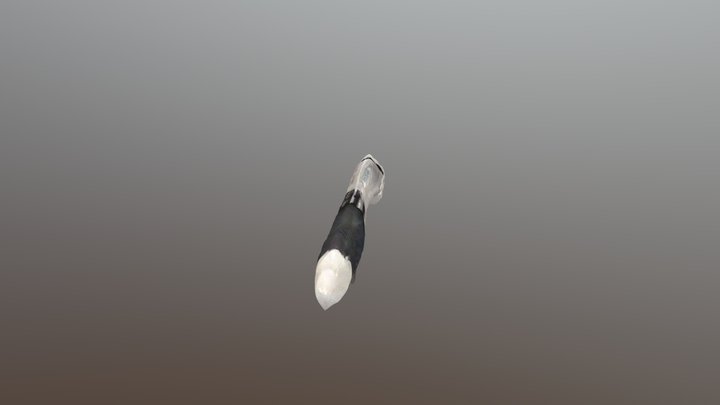 pen 3D Model