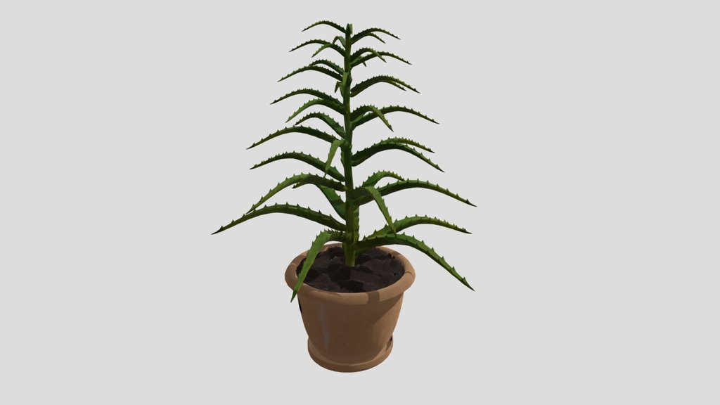 Aloe Vera in Pot Realistic Indoor Plant 3D Model