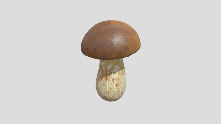 Porcini Mushroom 3D Model