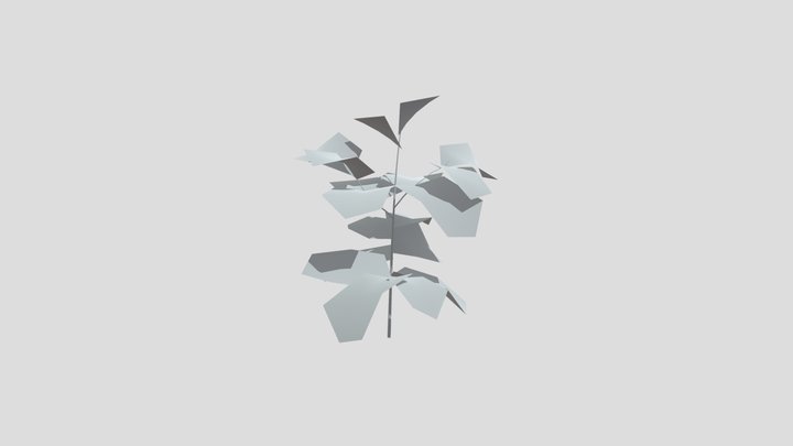 Gumbo Limbo Seedling – Free 3D Model STL