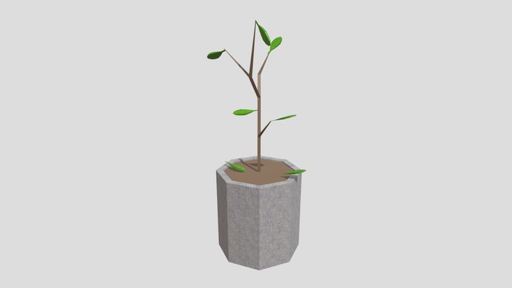 plant 3D Model