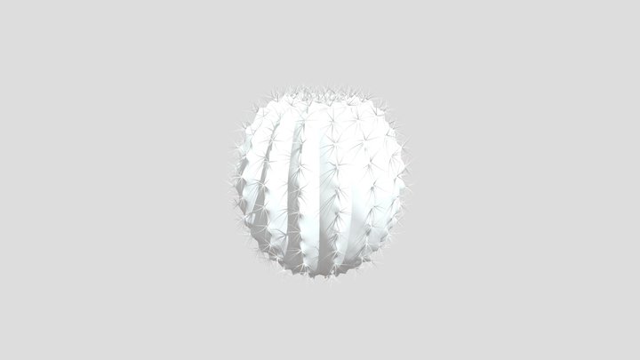 Ball Cactus 3D Model