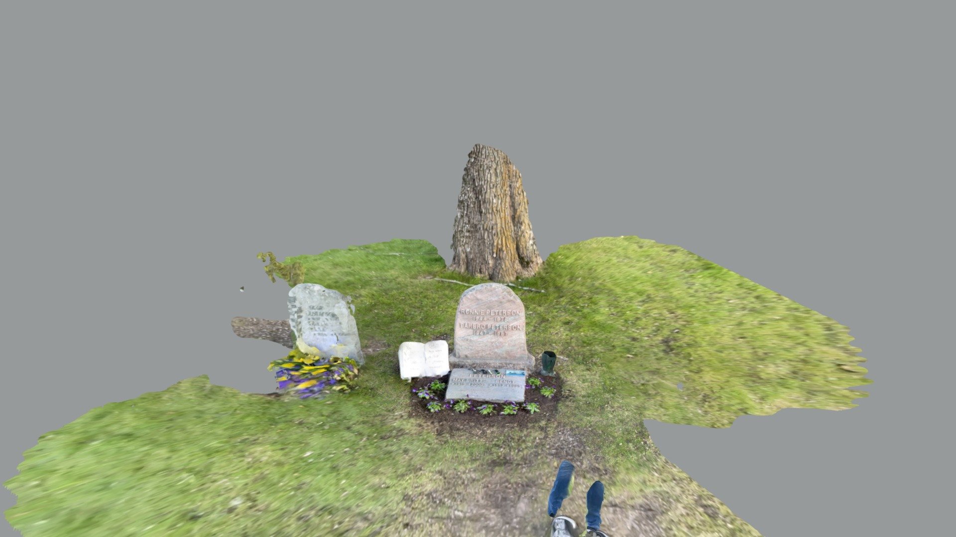 Ronnie Pettersson grave