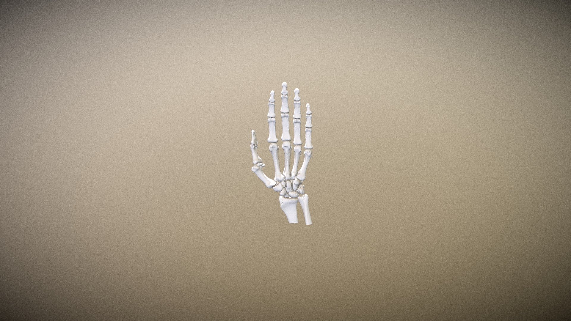 Mano Tomografía