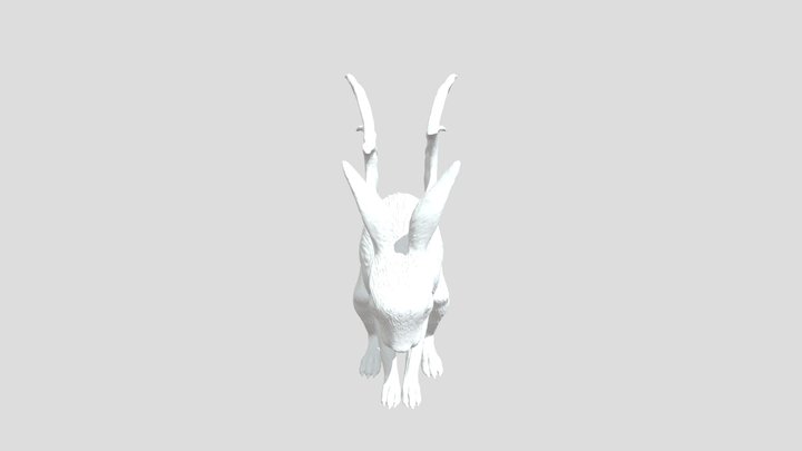 Winged Hare Enigma /