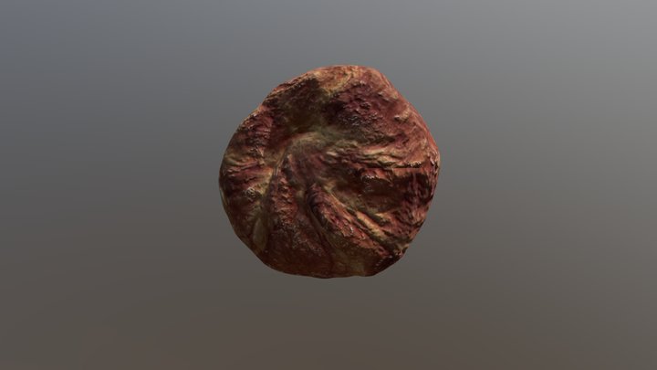 ut_jan_8_10_28_54_2019_GMT_obj 3D Model